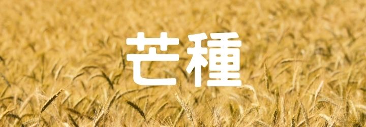芒種