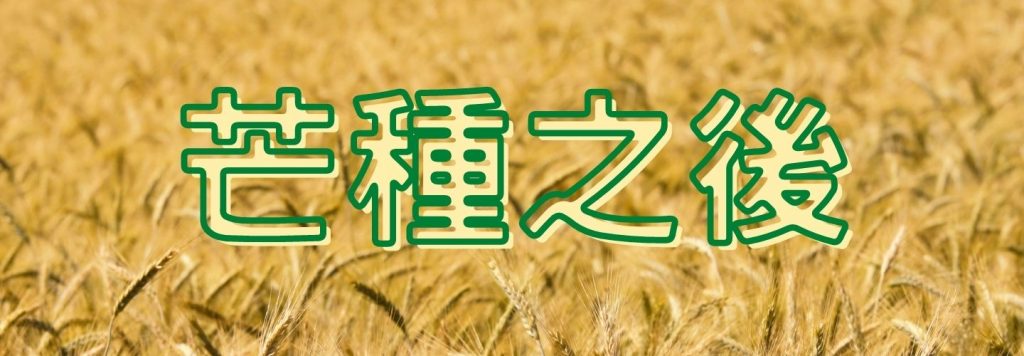 芒種之後