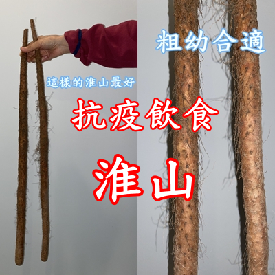 淮山