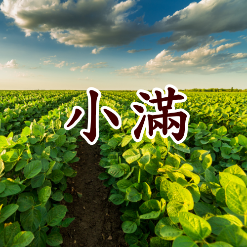 小滿