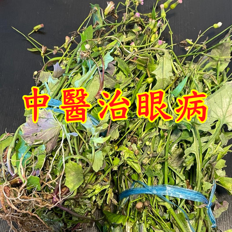  中醫治眼病