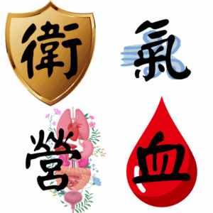 中醫怎樣睇病？衛、氣、營、血